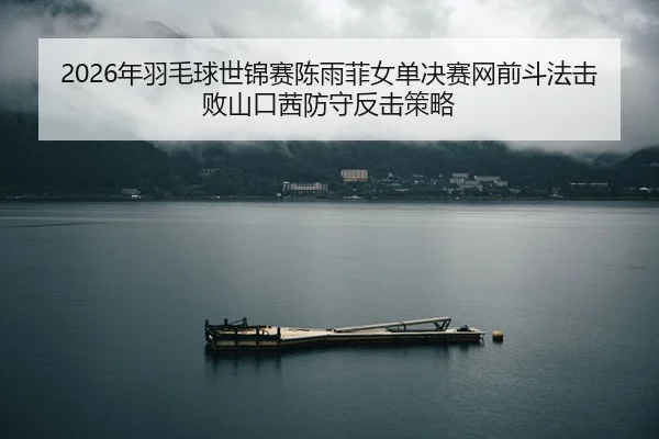 nian-yu-mao-qiu-shi-jin-sai-chen-yu-fei-nv-dan-jue-sai-wang-qian-dou-fa-ji-bai-shan-kou-qian-fang-shou-fan-ji-ce-lve-2-921.jpg
